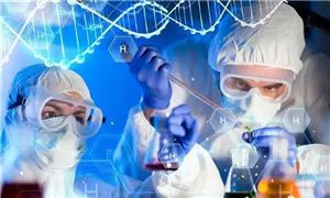 kaiyun开云网站2024门窗行业发展趋势分析(图5)