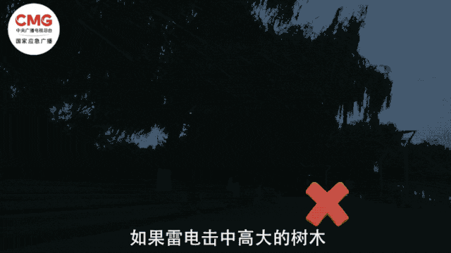 开云kaiyun官方网站强降雨已致重庆垫江6人遇难！这些避险常识请记牢(图12)
