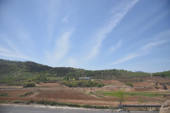 走向高质量发展更前列 斥山街道争先领先劲头十足(图4)
