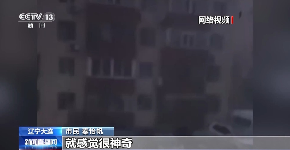 大连一夜发生7649次闪电 遇到雷电要记住这四个字→(图1)