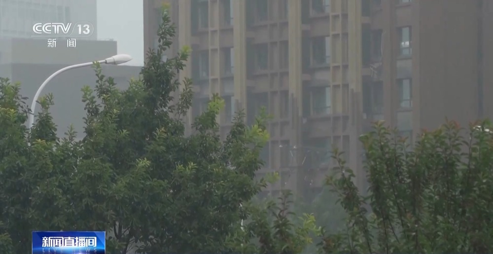 大连一夜发生7649次闪电 遇到雷电要记住这四个字→(图3)