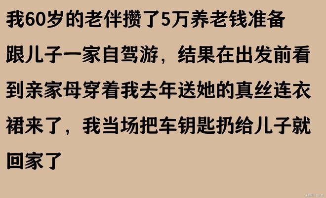 我准备出5万养老钱跟儿子一家去自驾游看到亲家母我转身回家(图5)