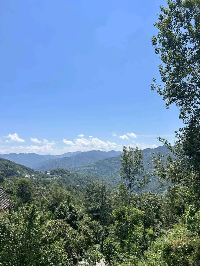 【坝河人在他乡】健康的教育：关于家乡转学现象的思考之三(图6)