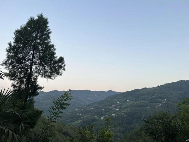 【坝河人在他乡】健康的教育：关于家乡转学现象的思考之三(图5)